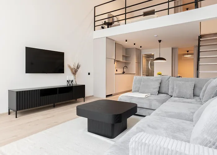 Apartment Mill Loft *